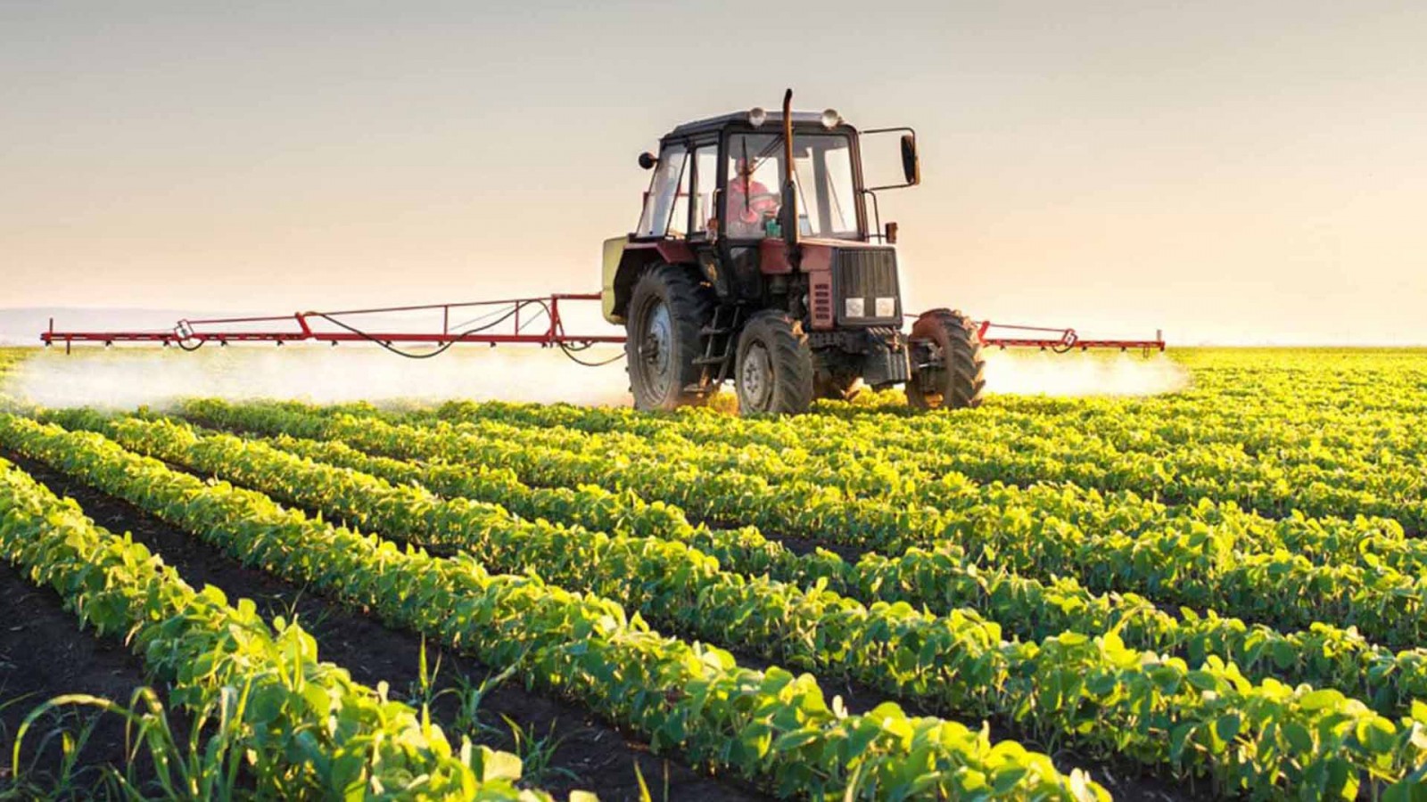 La Provincia de Buenos Aires lanzó nuevas medidas para el sector agropecuario