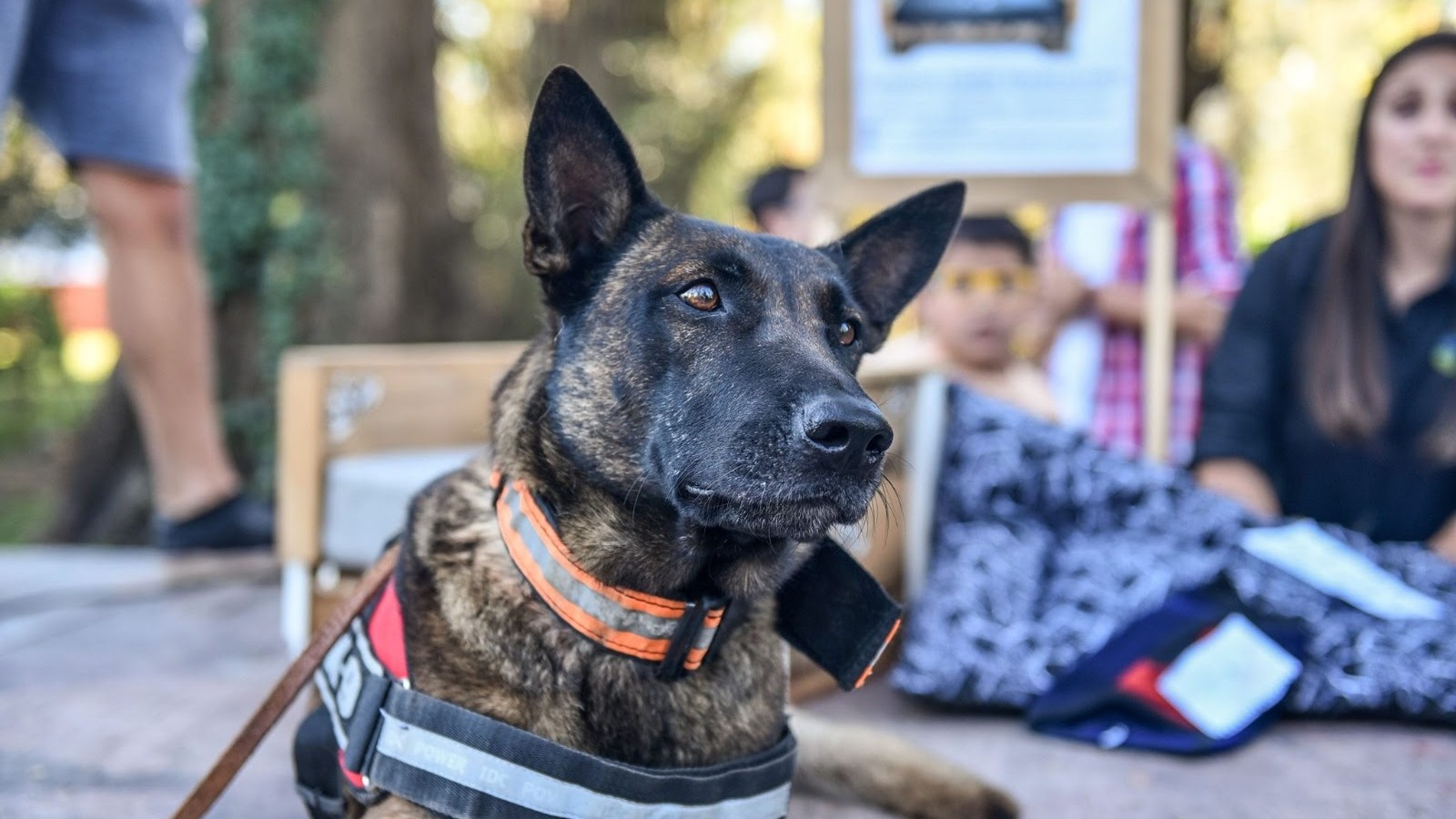 Este sábado, festejos especiales en la Granja Don Benito por el Día del Animal