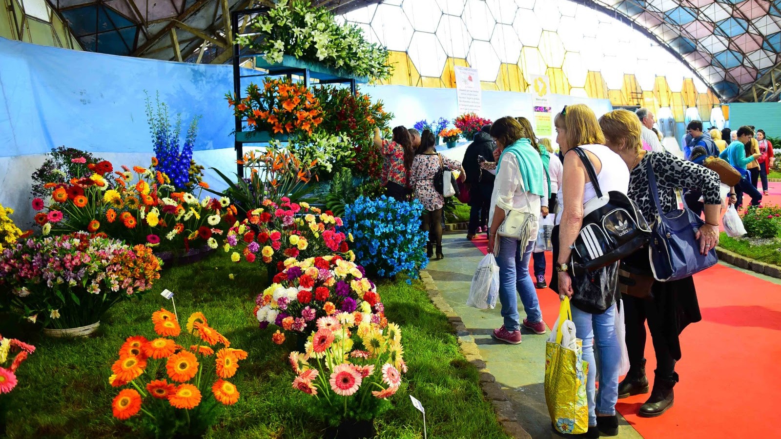 Finde en Escobar: la Fiesta Nacional de la Flor, Mercado de Oportunidades y Mr. Splendini son los eventos destacados