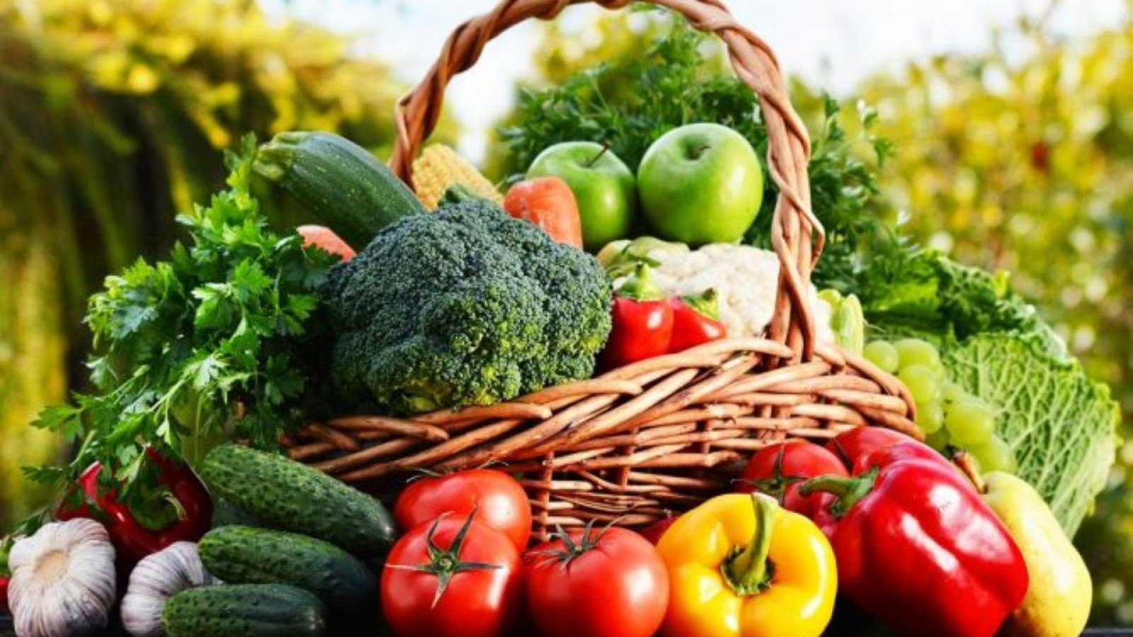 Por incremento de costos, los precios de los agroalimentos se multiplicaron por 3,5 veces en octubre