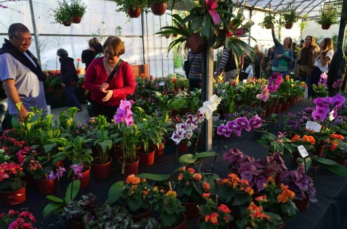 Más de 120 expositores ya confirmaron su presencia en la Fiesta Nacional de la Flor