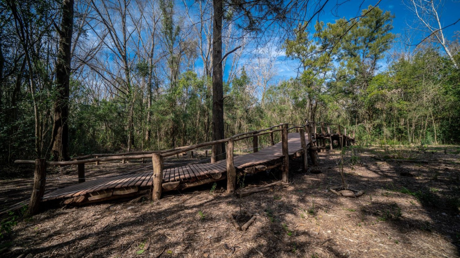 La Reserva Natural Los Robles de Moreno celebrará sus 35 años