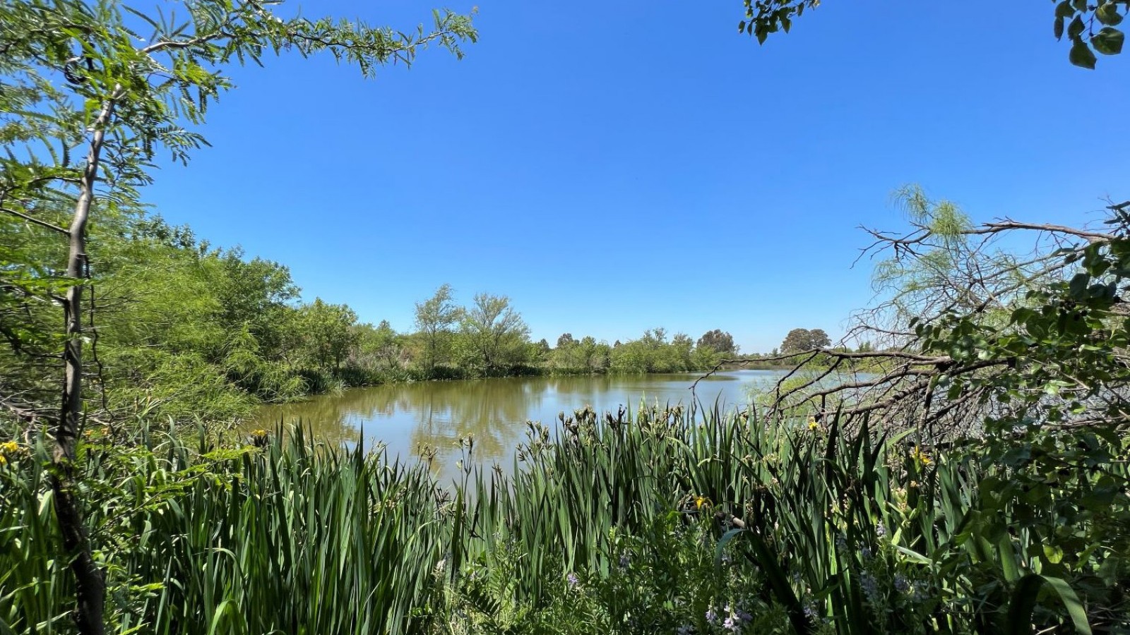 San Martín presenta un proyecto para crear la primera Reserva Ecológica de la ciudad