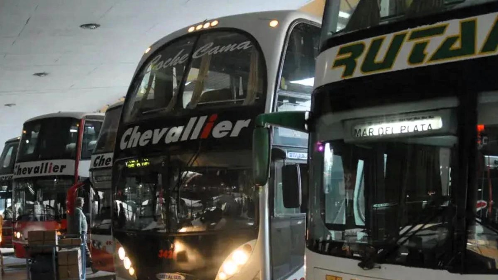 Desregulación del transporte: las empresas ya pueden establecer libremente recorridos, precios y duración de los servicios