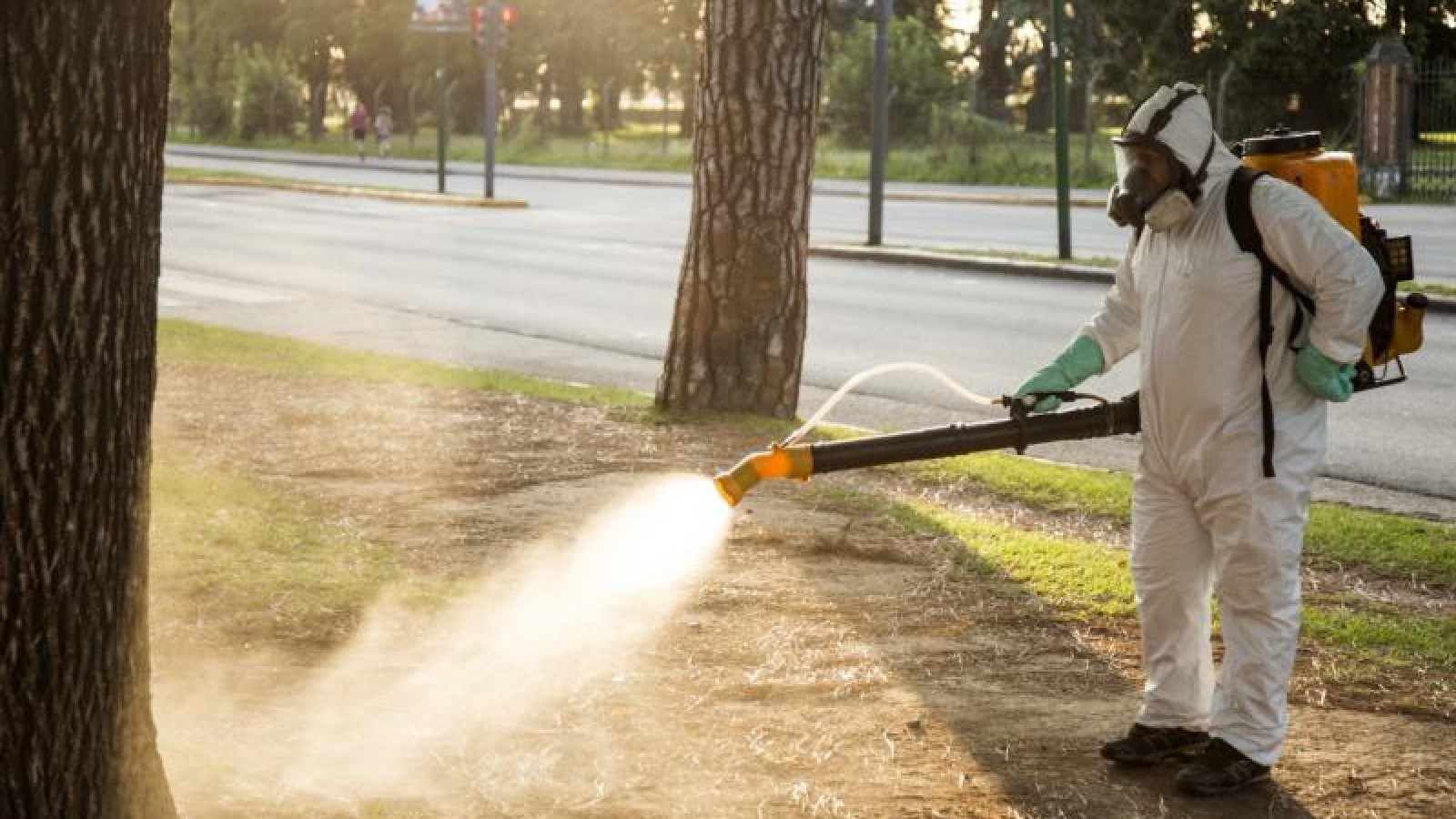 El Municipio de San Isidro lanzó una campaña integral para prevenir el dengue