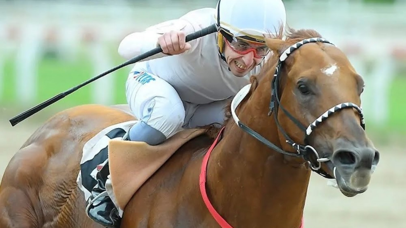 Zillión Stars se impuso por media cabeza en el Gran Premio Joaquín de Anchorena