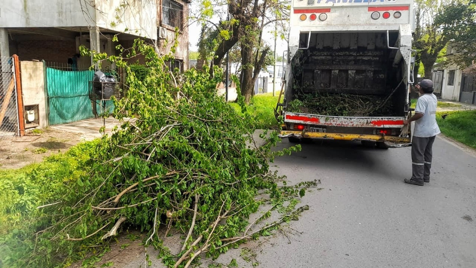 Cronograma del sistema municipal de recolección de ramas para esta semana