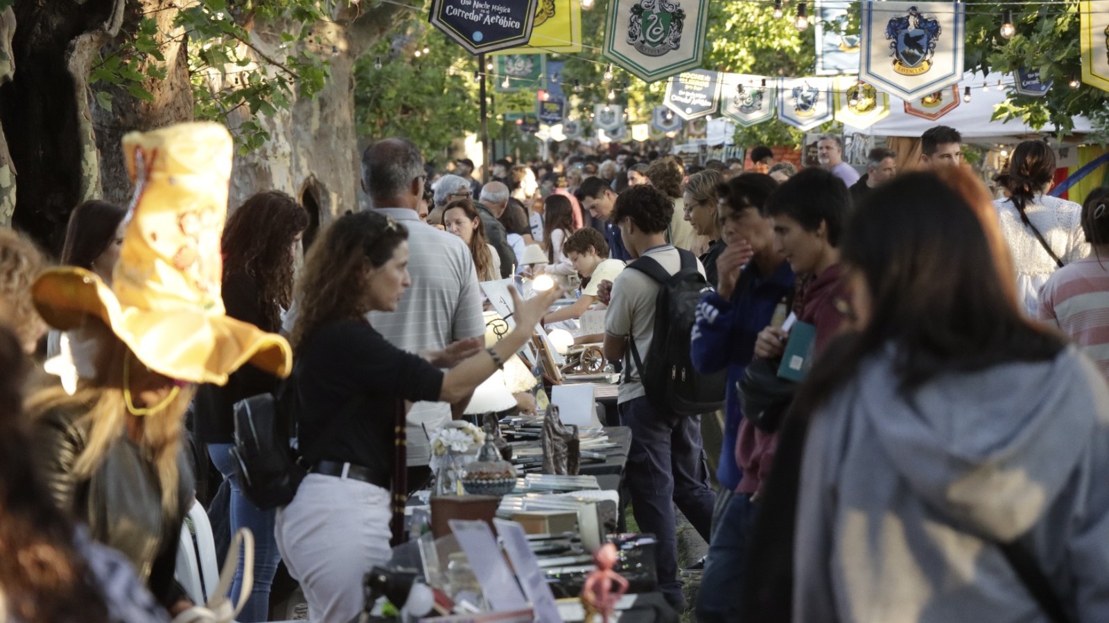 Inspirada en Harry Potter, se realizó la 11° Noche de Libros de San Miguel