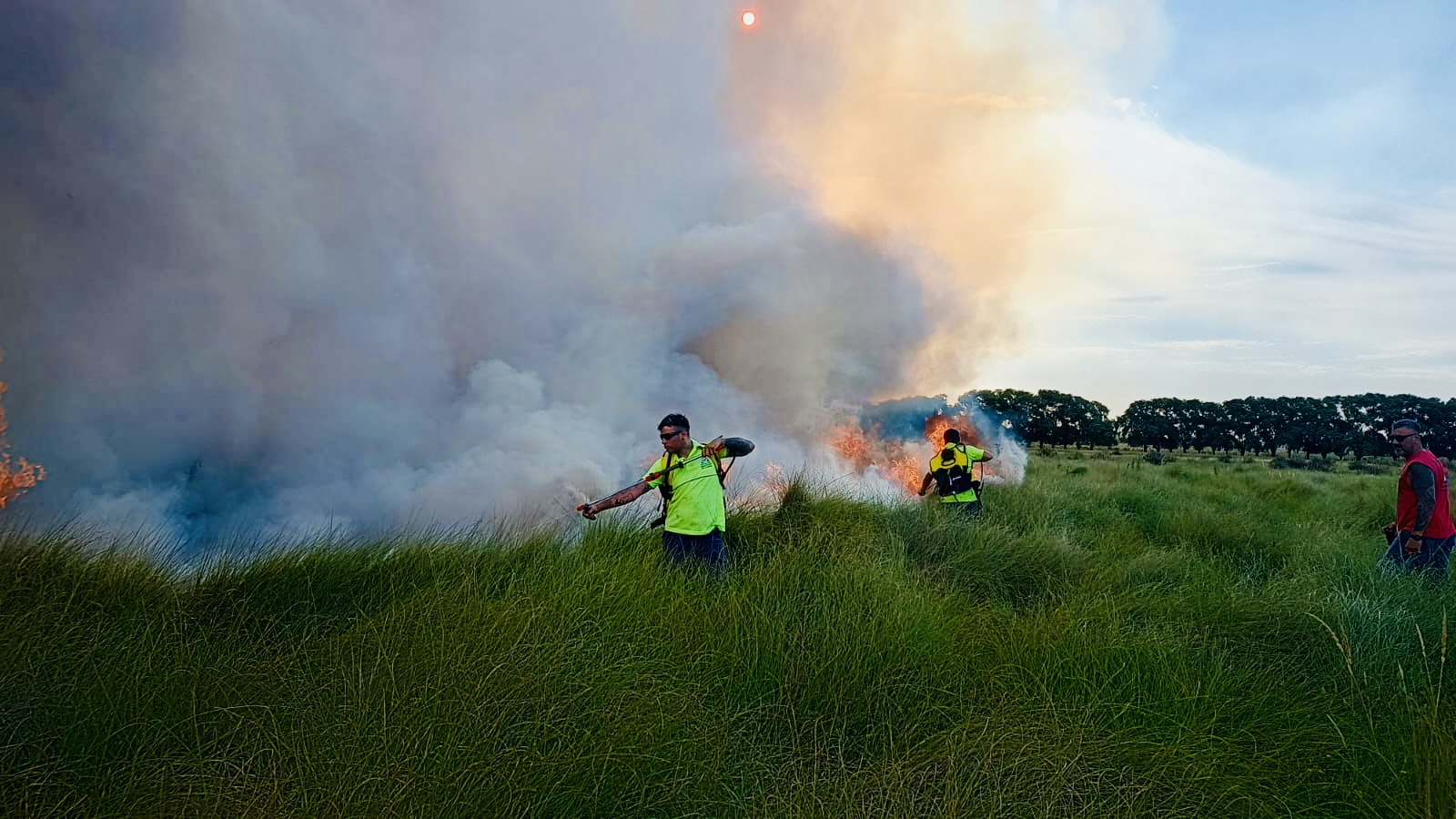 Defensa Civil y Bomberos de Campana mitigaron incendios de gran magnitud en Río Luján