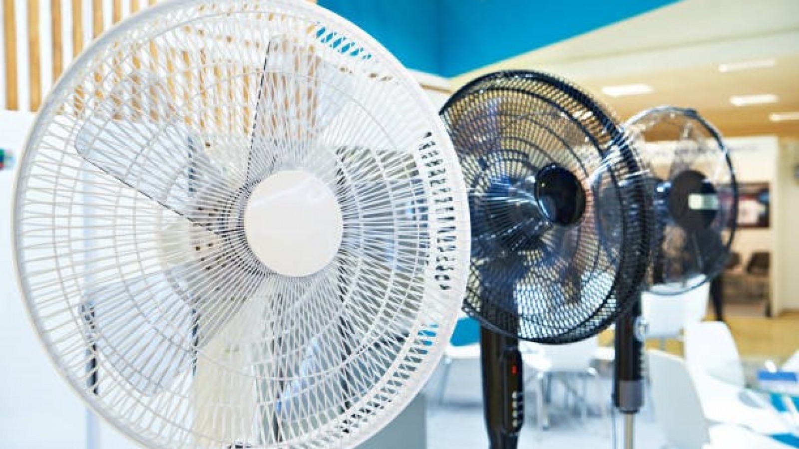 Ventiladores al mejor precio: calidad y frescura sin gastar de más