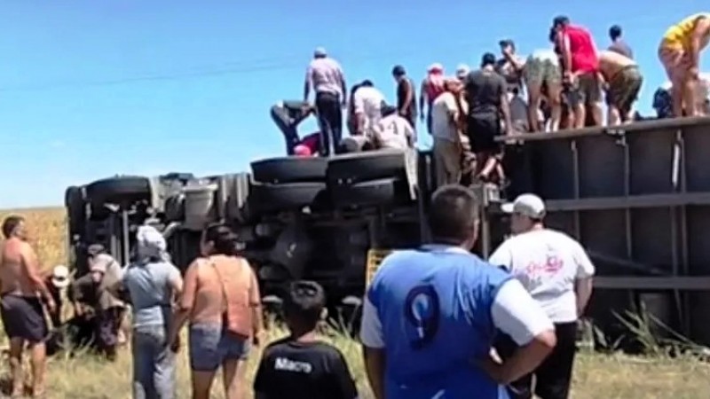 Volcó un camión con 75 animales en la Ruta 8 y vecinos faenaron la carga
