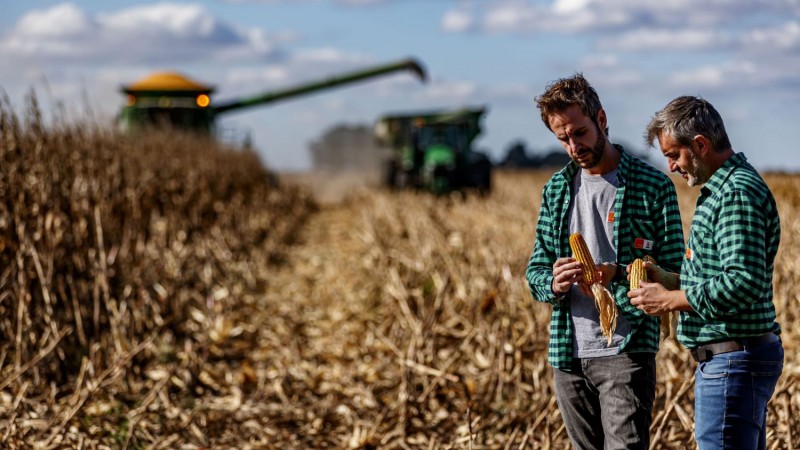 El Gobierno anunció una baja permanente de retenciones: cómo quedan las alícuotas para soja, trigo, maíz y girasol