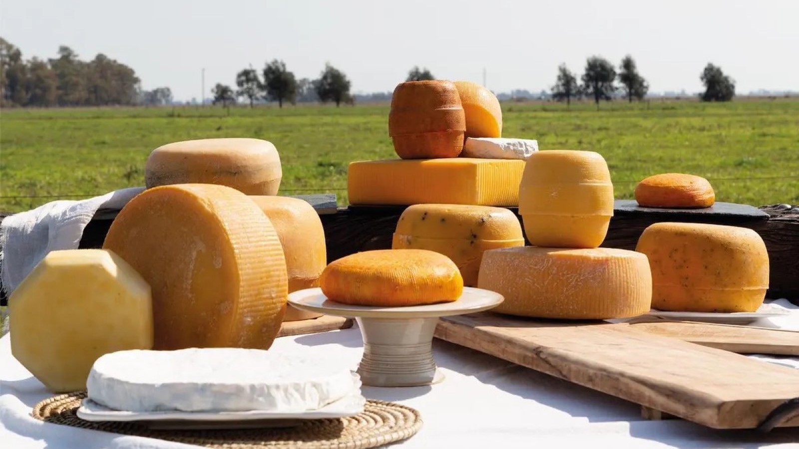 El mejor "Shopping de campo" de la ruta 5: dónde queda y cuáles son los productos más vendidos que son furor