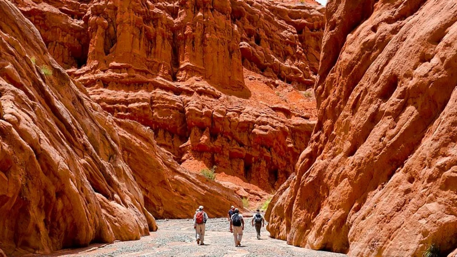 La ruta desconocida que atraviesa un paisaje "marciano" argentino entre valles, cañones y vistas panorámicas