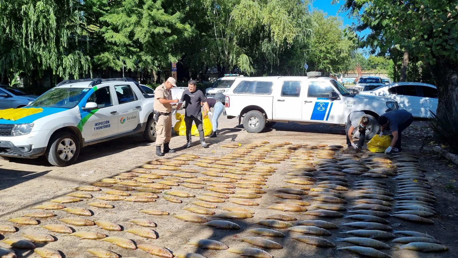 El Municipio decomisó 1.200 kilos de pescado que ingresaban a Escobar de manera clandestina