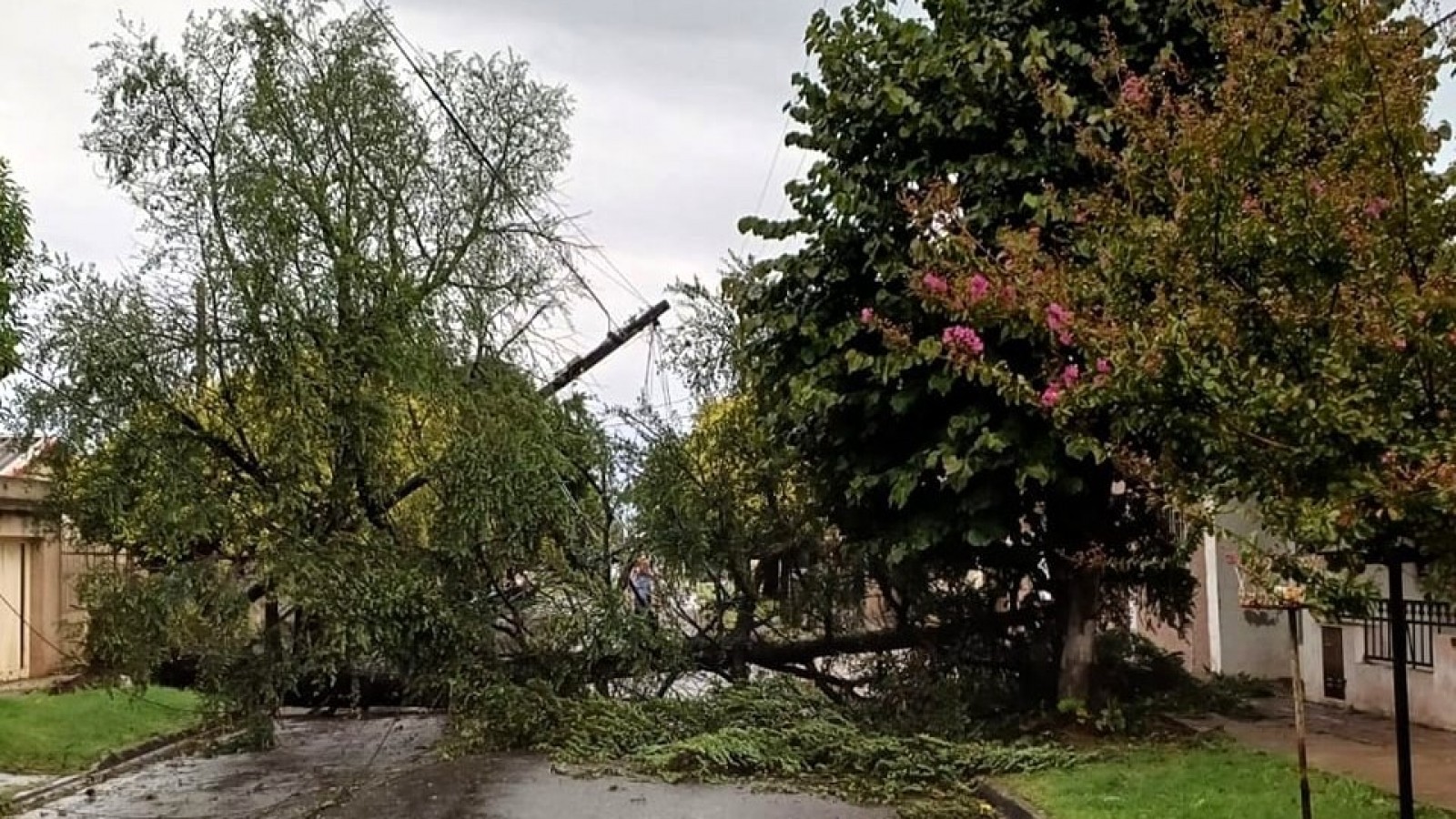 Temporal en San Nicolás: La línea de emergencia 147 recibió más de 200 reclamos