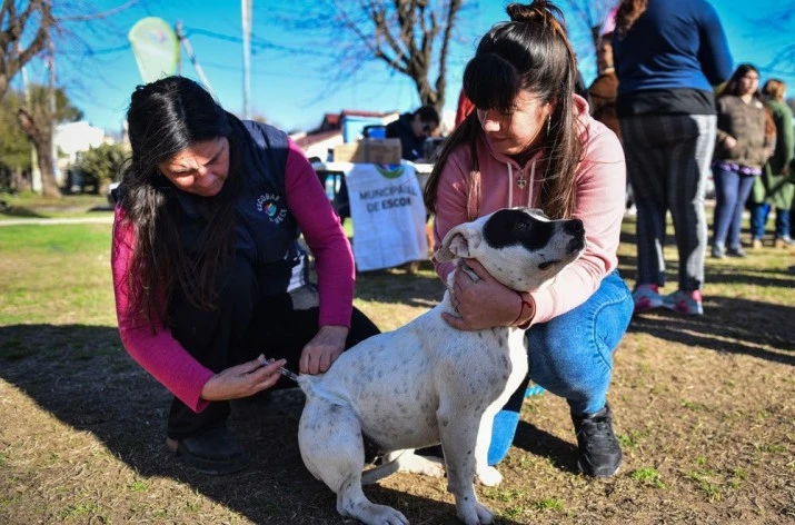Día del animal: la importancia de tener en Escobar un Hospital de Zoonosis modelo con atención gratuita para mascotas