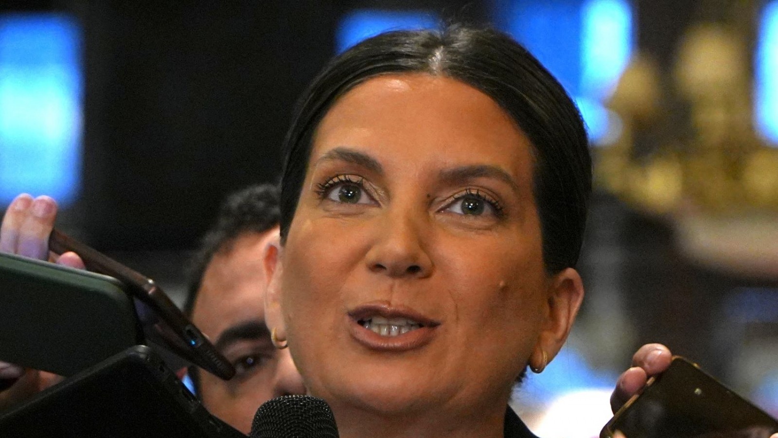 "Se cometieron una serie de delitos graves", afirmó Silvia Lospenatto