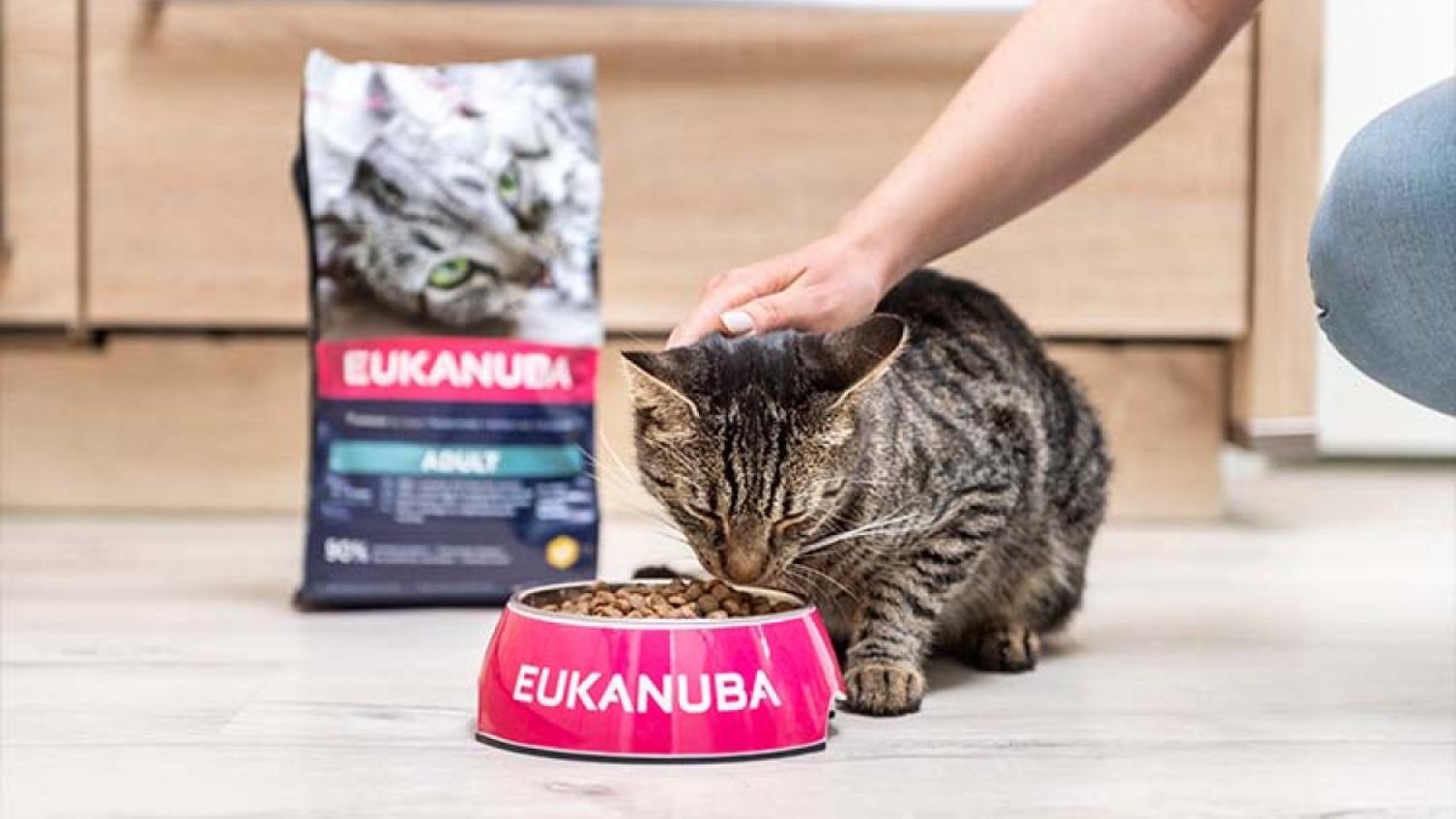 Eukanuba despierta el instinto felino con su nueva línea de alimento para gatos en Argentina