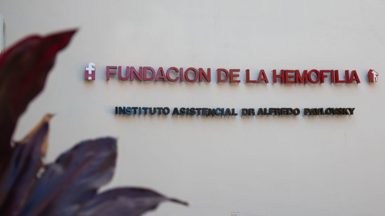 Alarma en la Fundación de la Hemofilia: el Gobierno Nacional cortó los subsidios y peligra su continuidad