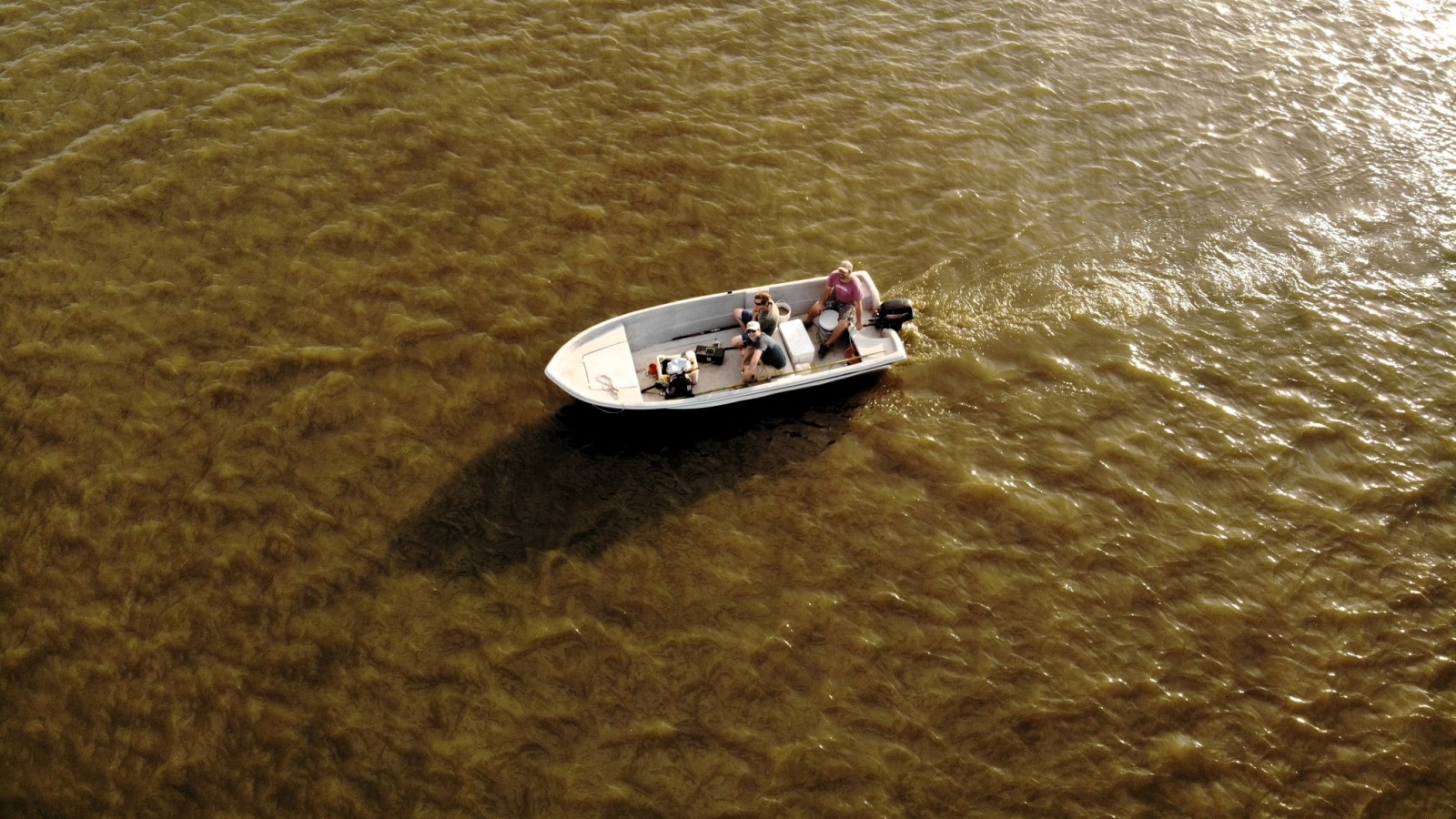 Enamorate de la Provincia de Buenos Aires con sus paisajes primaverales únicos