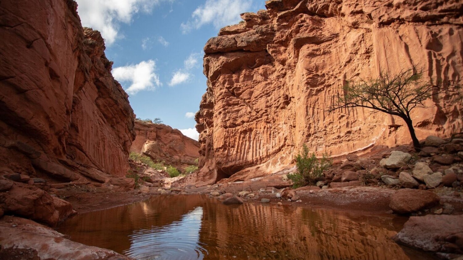 Hualfín, el paraíso escondido de Catamarca que enamora con su tranquilidad y naturaleza