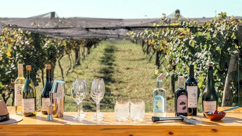 Enoturismo: calendario de eventos Vinos Buenos Aires