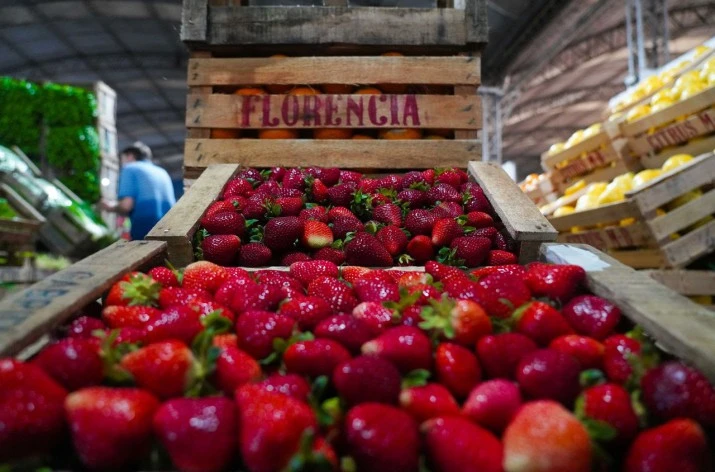 Escobar tendrá su primera Fiesta de la Frutilla: productores, feria y shows en un evento gratuito para toda la familia
