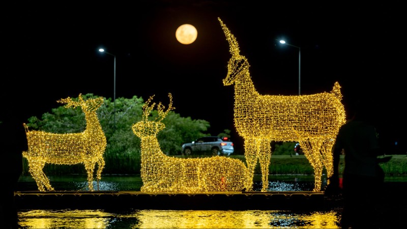 San Nicolás se ilumina: la ciudad ya vive su clásico recorrido navideño