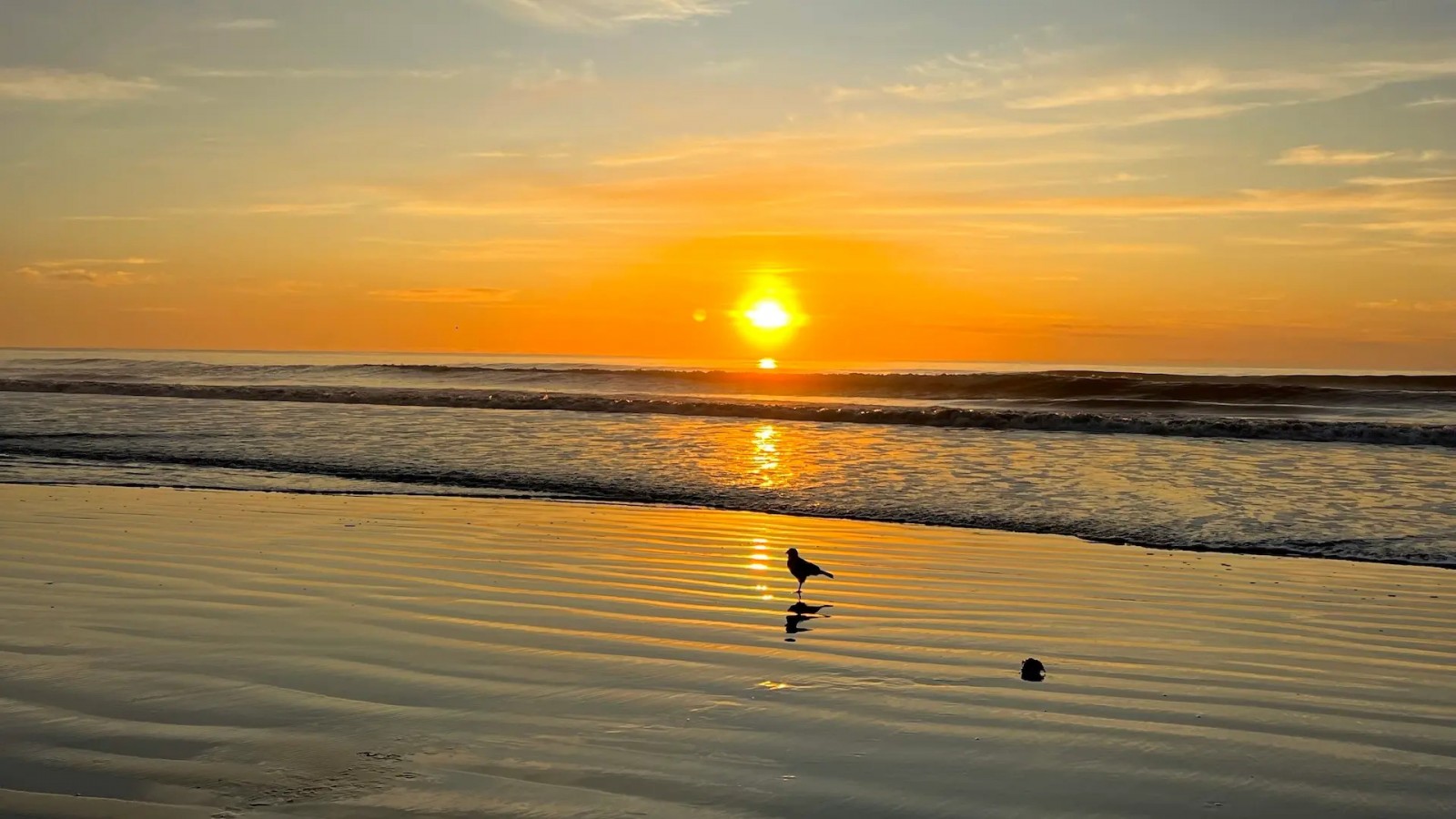 Siete playas tranquilas y naturales para disfrutar del verano en la Costa bonaerense