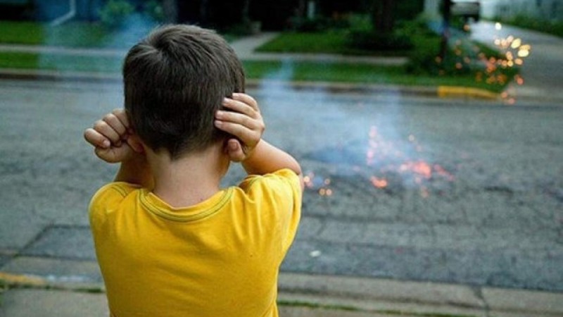 Para proteger a las personas, animales y al ambiente, la Ciudad prohíbe la pirotecnia ruidosa