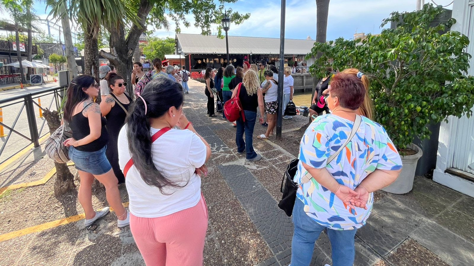 "Navegando", el programa del Municipio de Tigre que promueve la riqueza y la cultura del Delta