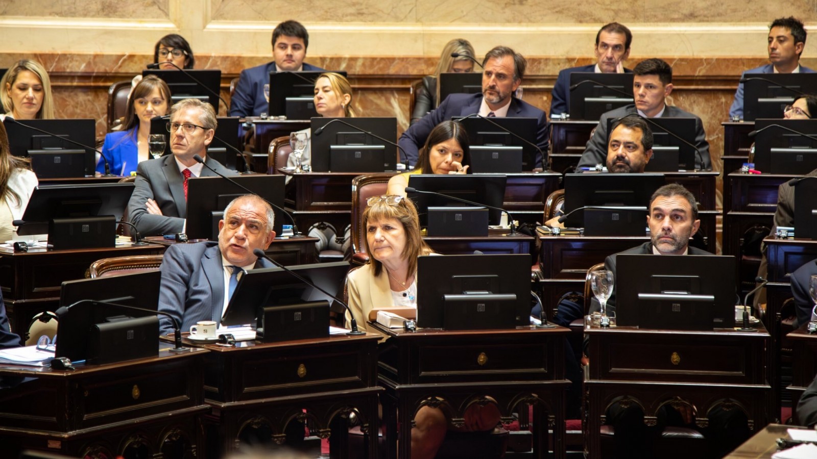 El Senado sancionó la ley de inocencia fiscal y actualizó los umbrales por evasión