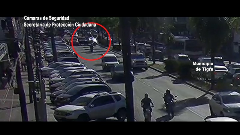 Choque y vuelco en General Pacheco: imprudente maniobra en Ruta 197 terminó con una palmera caída