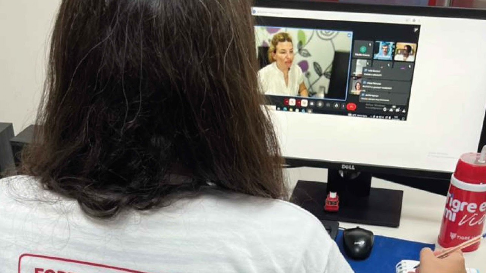 El Municipio de Tigre lanza la 3° edición de la Escuela de Verano para Emprendedores