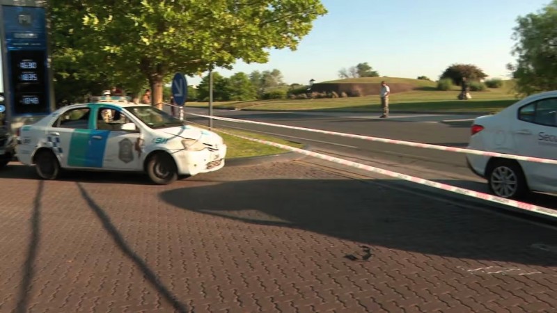 Denuncian un operativo para trasladar carpinchos en Nordelta y hay vigilia de proteccionistas