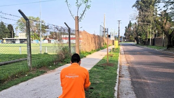 Pergamino fue reconocido por plantar más de 1.400 árboles y convoca a los vecinos a sumarse