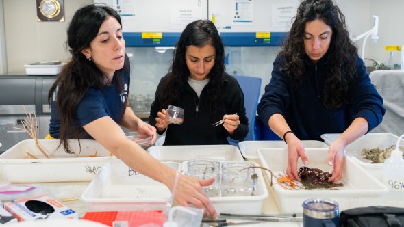 La Provincia inaugura la muestra "Vidas submarinas - Ciencia, arte y soberanía" en el Museo MAR de la ciudad de Mar del Plata