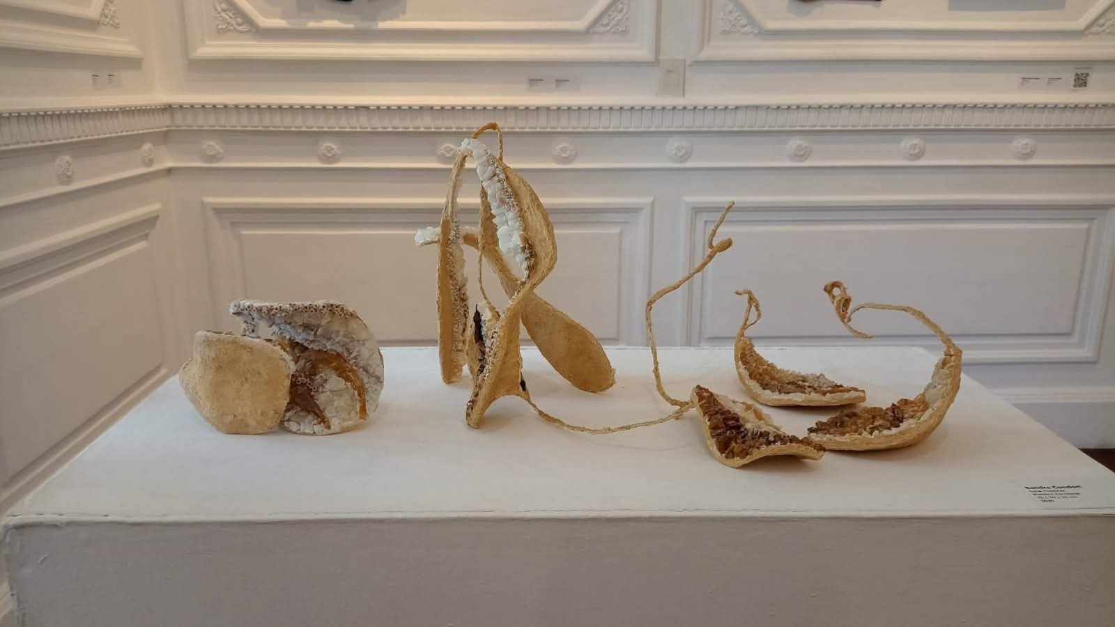 La Casa de las Culturas del Municipio de Tigre inauguró la muestra "Las Musas del Mosaico en Villa Carmen"