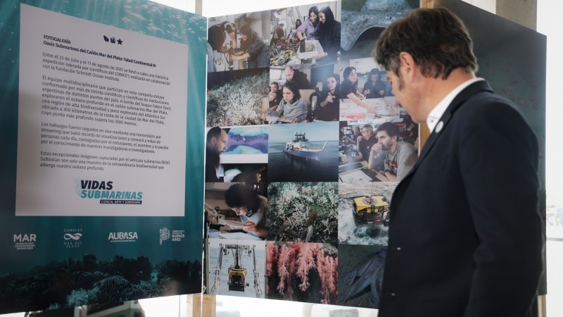 Kicillof recorrió la muestra "Vidas submarinas: ciencia, arte y soberanía" en el Museo MAR de Mar del Plata
