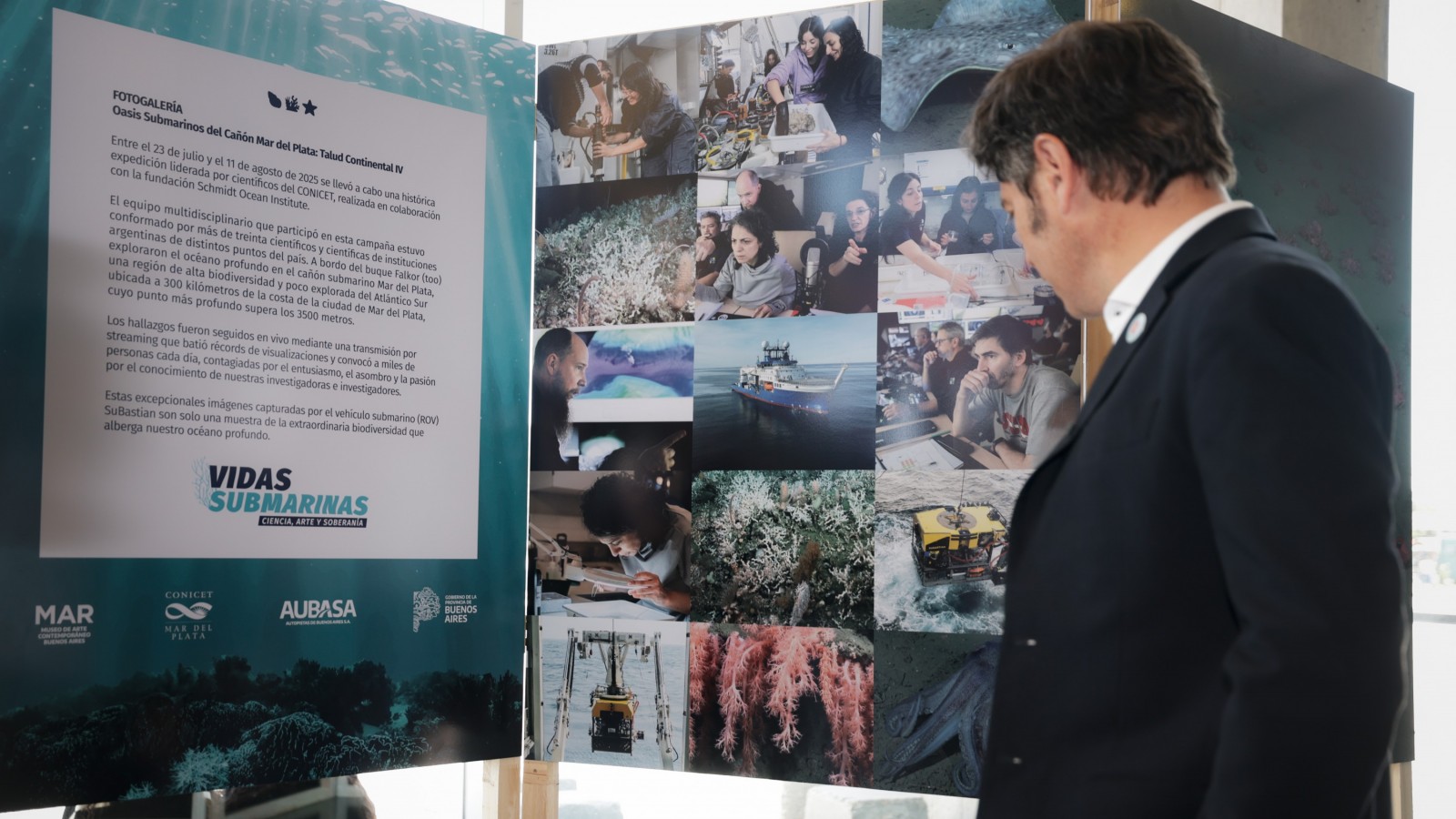 Kicillof recorrió la muestra "Vidas submarinas: ciencia, arte y soberanía" en el Museo MAR de Mar del Plata