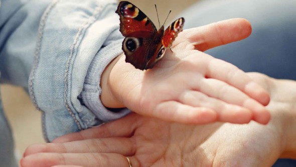 Tigre acompaña a familias en procesos de adopción con el programa Afianzando Lazos