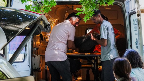 Zoonosis en los barrios: la Municipalidad realiza 33 operativos gratuitos por mes