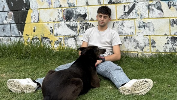 De "difíciles" a adoptables: el instituto que les da una segunda oportunidad a perros de refugio