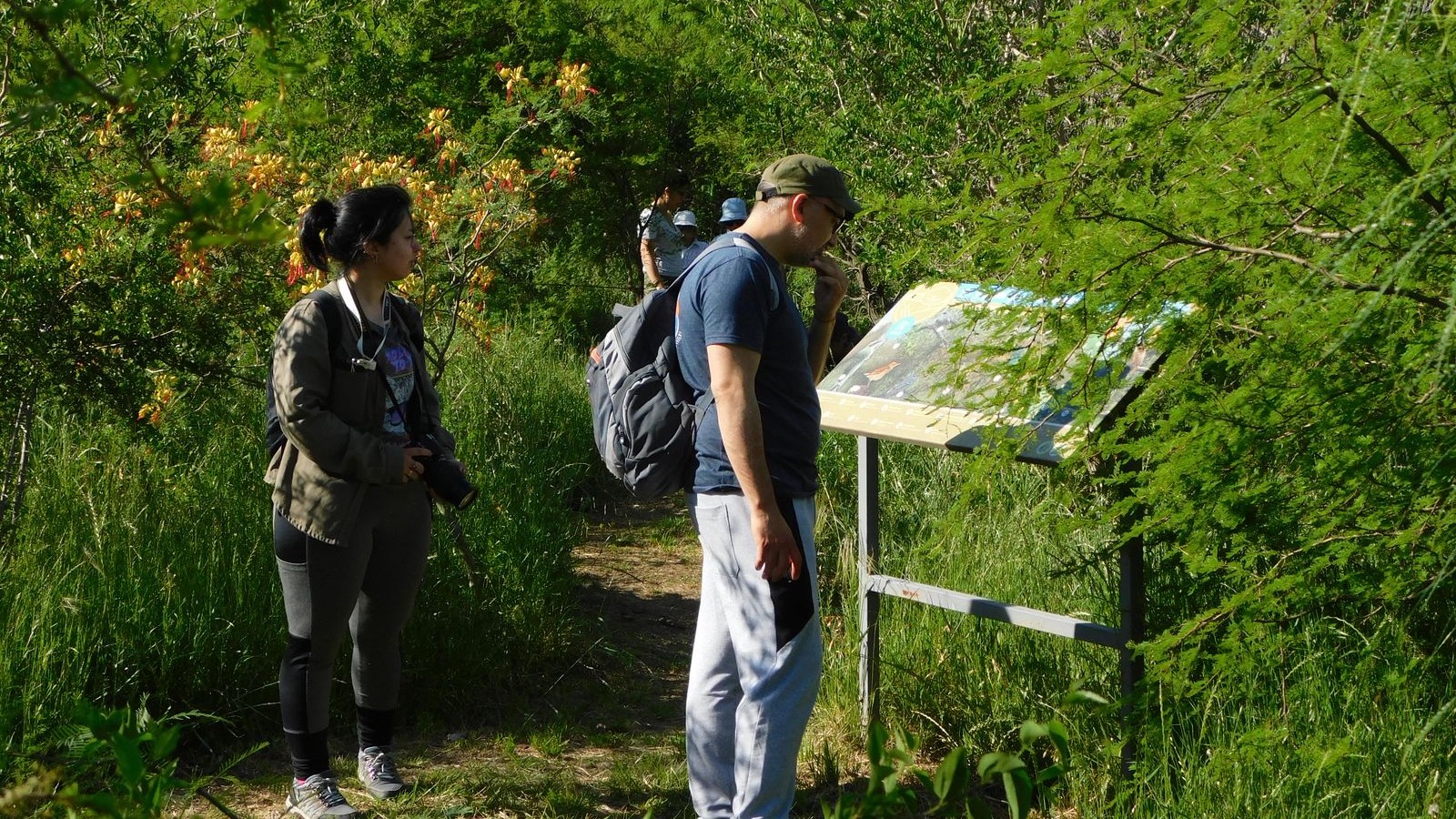 Verano en la Reserva Natural Urbana de San Miguel