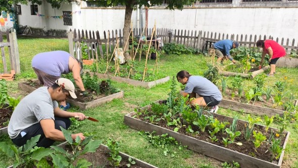En Don Torcuato, el Municipio de Tigre lleva adelante el Taller de Huerta Comunitaria