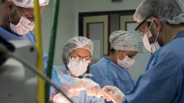 Donación de órganos: El trabajo de la red bonaerense, clave en el récord nacional histórico