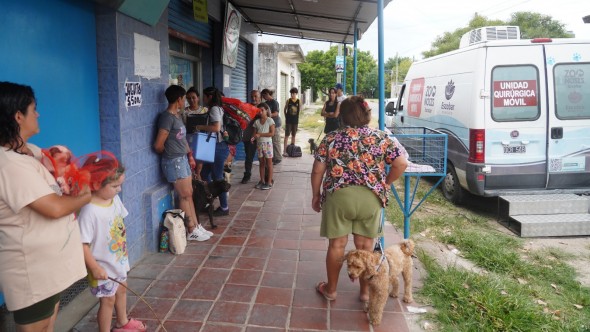 Zoonosis Escobar: jornadas gratuitas de castración y vacunación