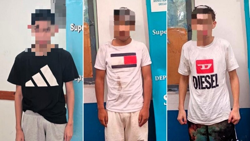 Cayeron otros tres integrantes de la Banda del Millón tras operativos en zona norte