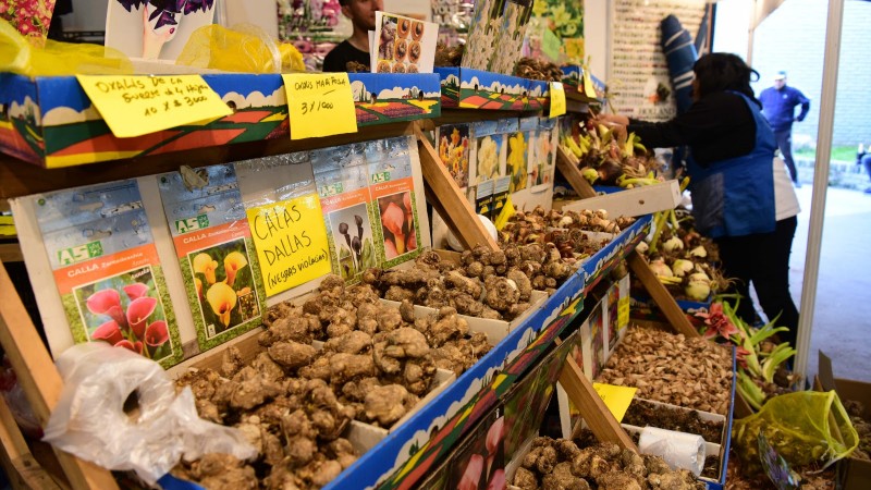 El Mercado de Productos Familiares vuelve a Belén de Escobar